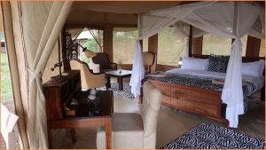 Luxury-Accommodation-whileinafrica