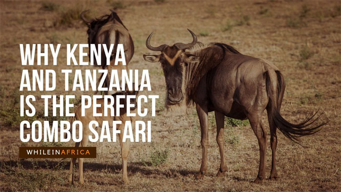 Why Kenya and Tanzania is the Perfect Combo Safari