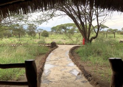 Kibo Safari Camp.whileinafrica