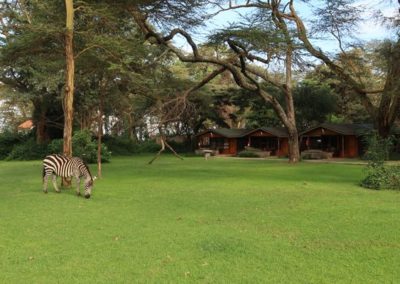 Lake Naivasha Crescent Camp (2).whileinafrica