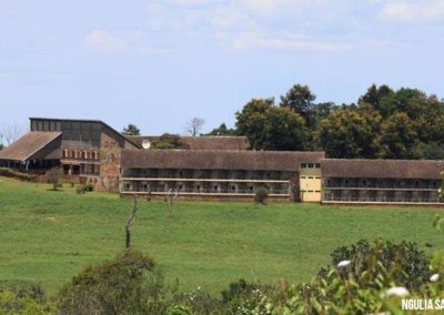 Ngulia Safari Lodge (2).whileinafrica